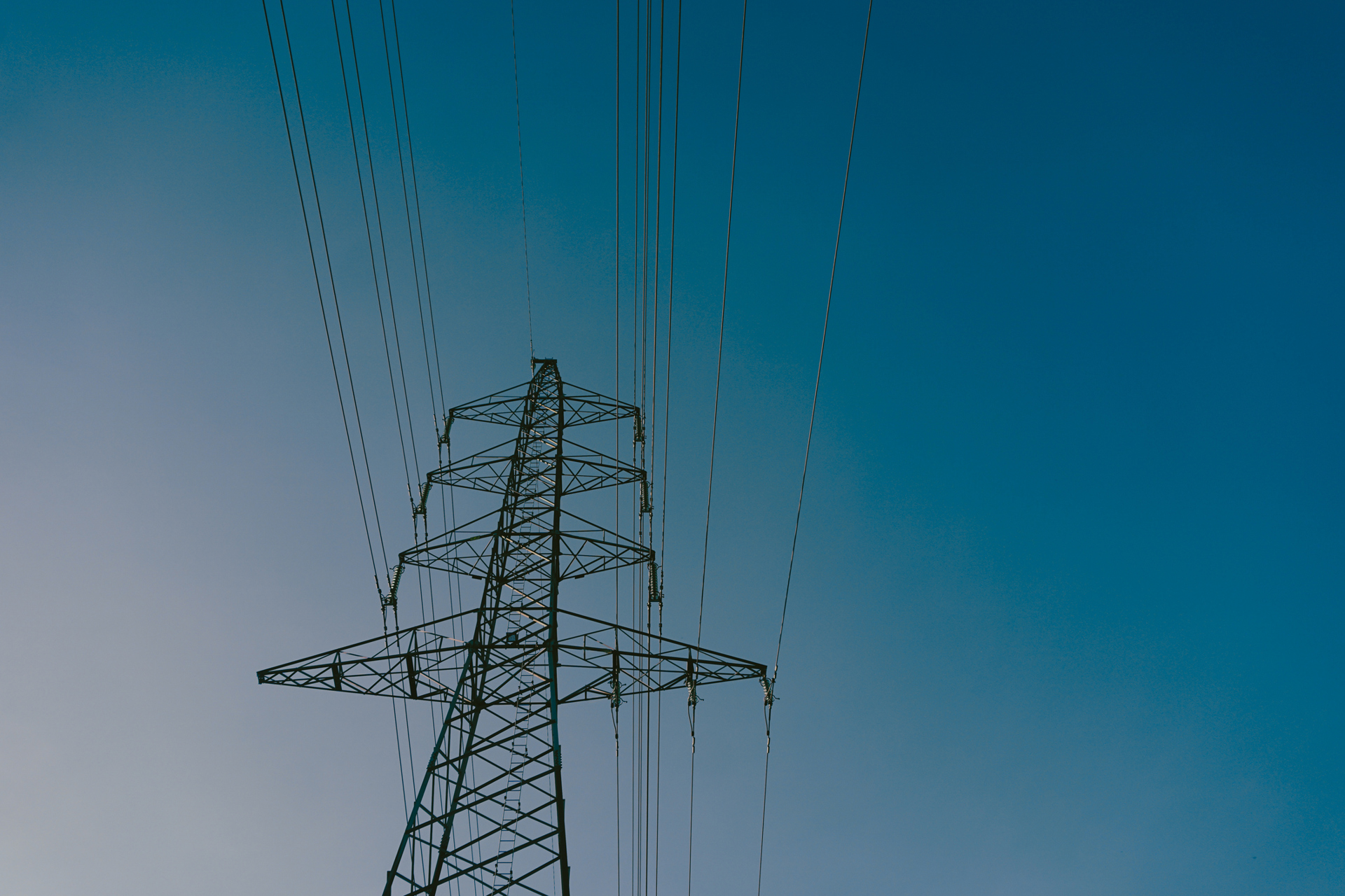 iStock-2182316942.jpg.