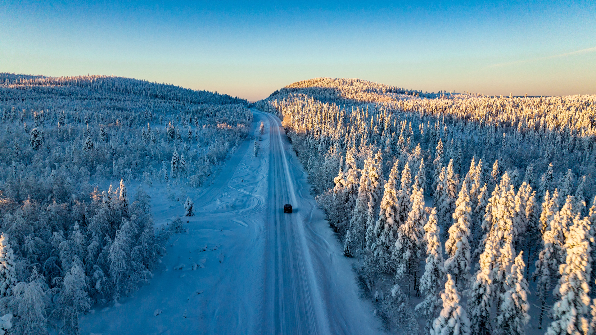 iStock-1441579581.jpg.