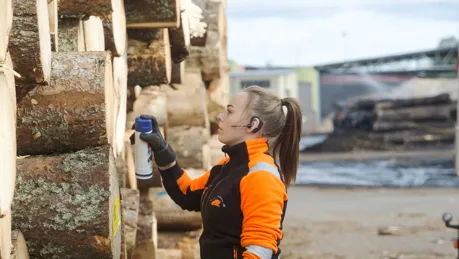 vagvalet-2026-utbildningar-jobb.png.