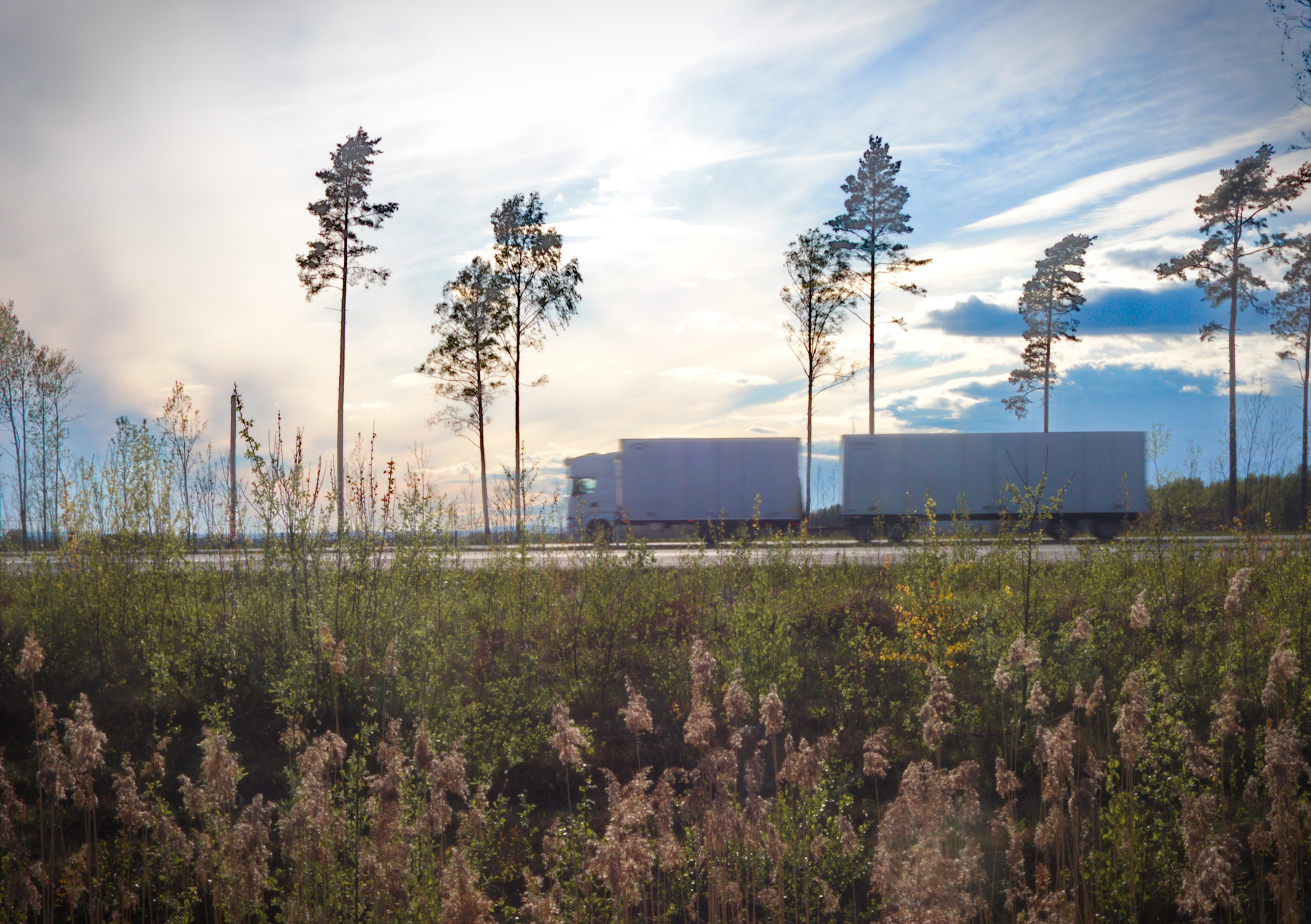 iStock-689706610.jpg.