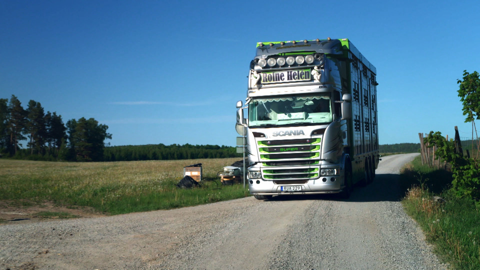 Djurtransport (1).png.