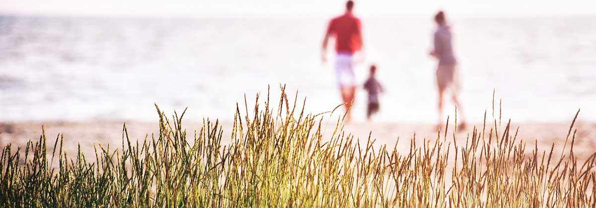 sommarbild
