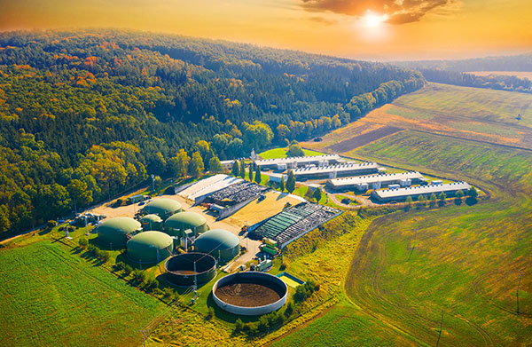 Produktionsanläggning för biogas